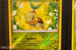 Pokemonkort samling Diverse fra 1995-2011