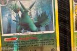 Pokemonkort samling Diverse fra 1995-2011