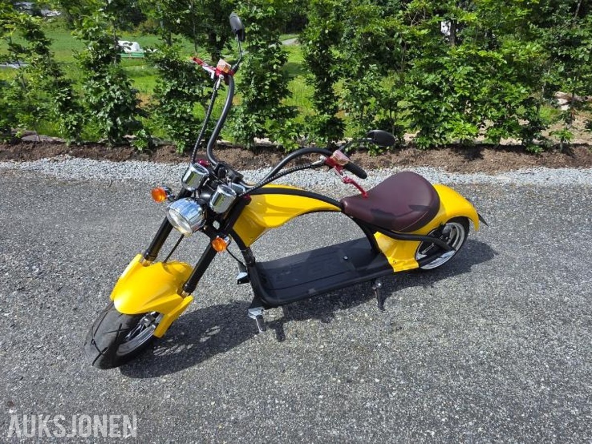 2019 ROODER M1
