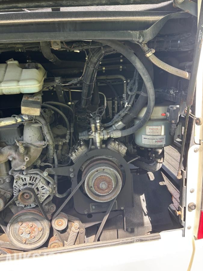 2012 MAN buss, 50 sitteplasser