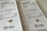 2.00Ct Diamantøredobber i Gult 18K Gull | IGI-sertifisert