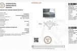 Elegant gull diamantøredobber 1.10 ct – IGI-sertifisert 14kt 585