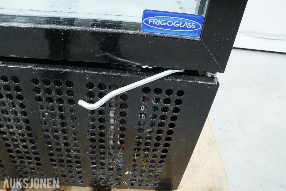 FRIGOGLASS SMART -450 LC [R290]