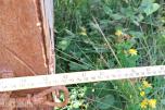 SandBlåse kabinett