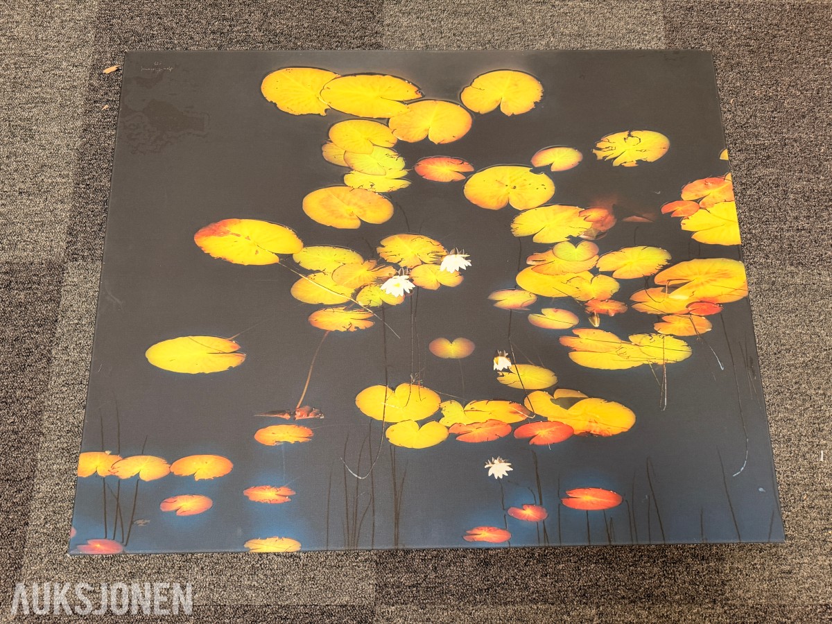 Atlee Helland – signert fotokunst med vannliljer