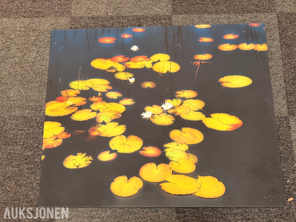 Atlee Helland – signert fotokunst med vannliljer