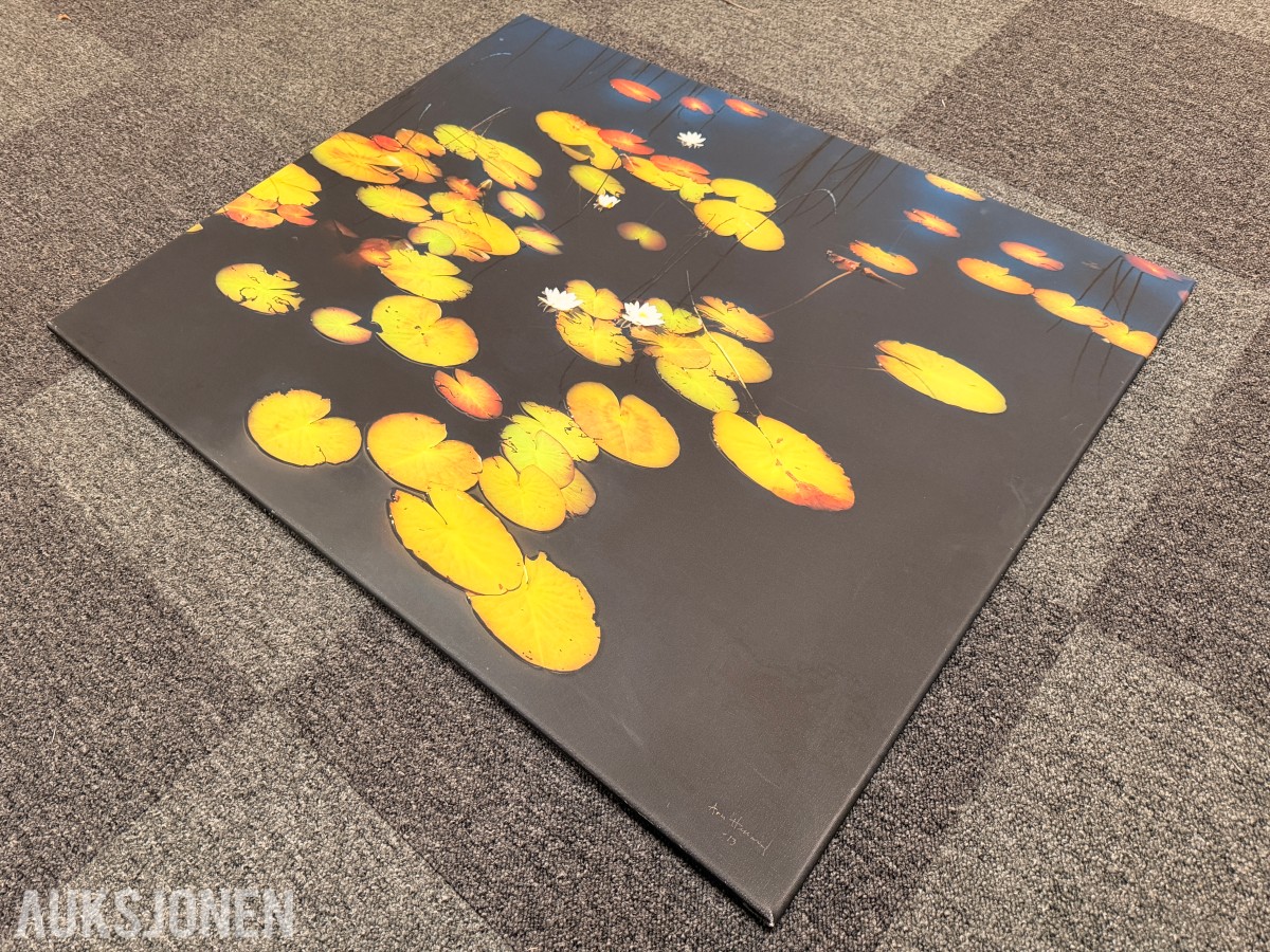 Atlee Helland – signert fotokunst med vannliljer