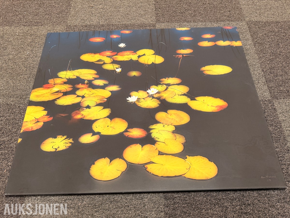 Atlee Helland – signert fotokunst med vannliljer