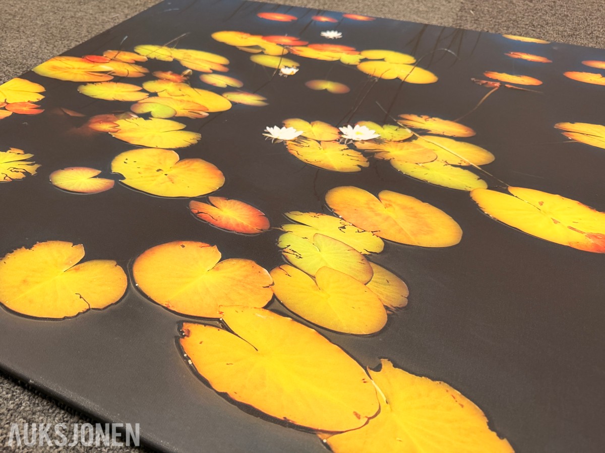 Atlee Helland – signert fotokunst med vannliljer