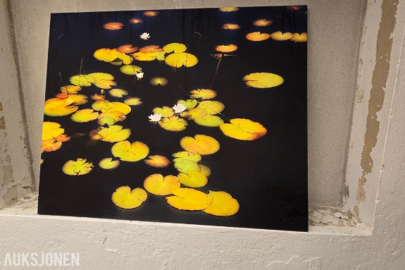 Atlee Helland – signert fotokunst med vannliljer
