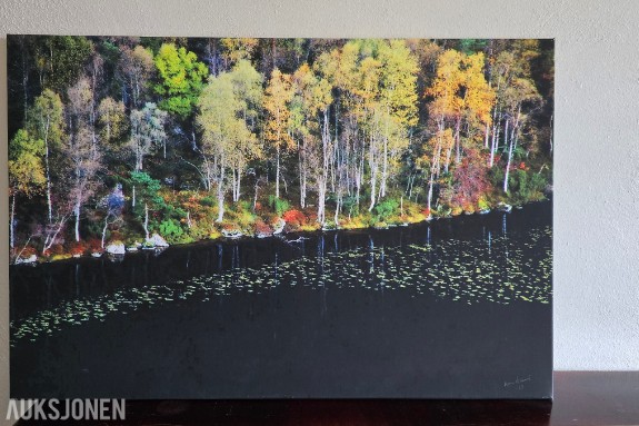 Atle Helland – signert fotokunst, høstlandskap