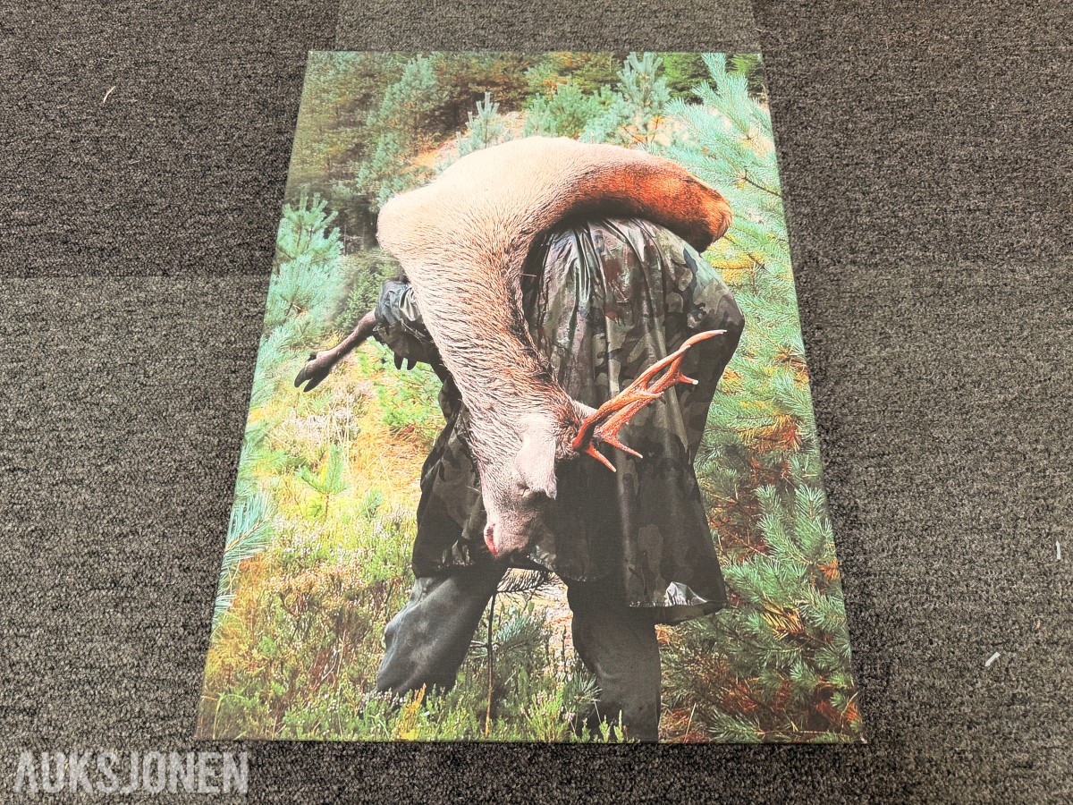 Trolig Atle Helland – fotografi fra hjortejakten på lerret