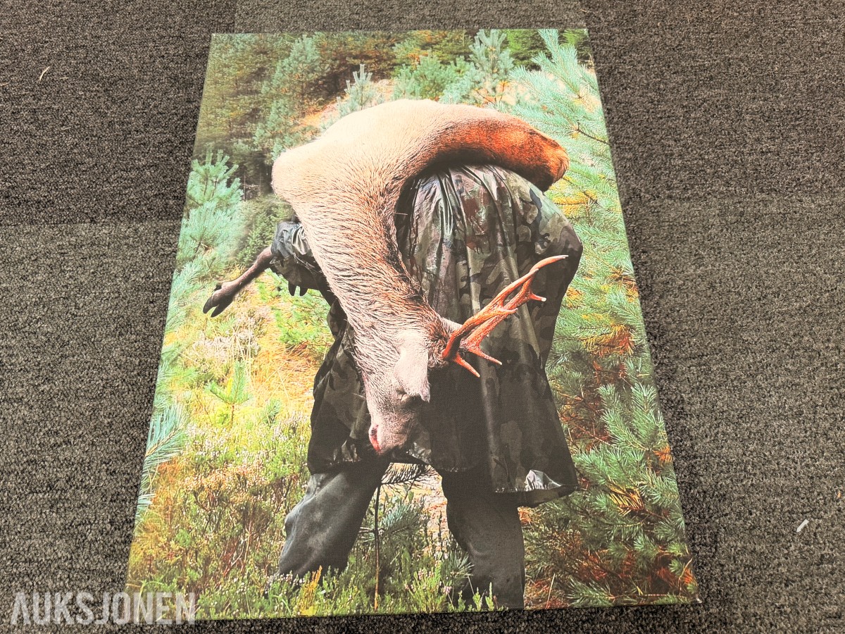Trolig Atle Helland – fotografi fra hjortejakten på lerret