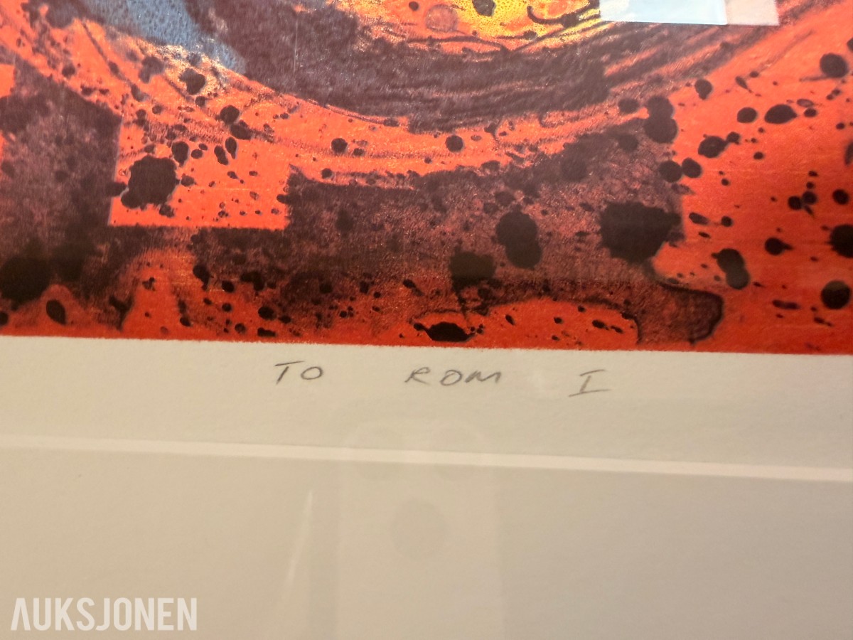 Nico Widerberg – To rom I