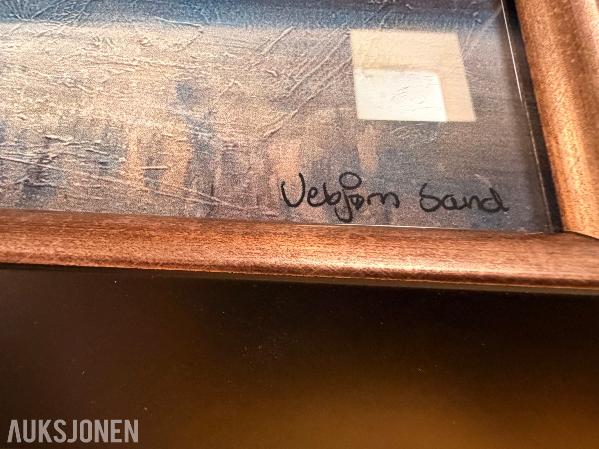 Vebjørn Sand – Antarktis