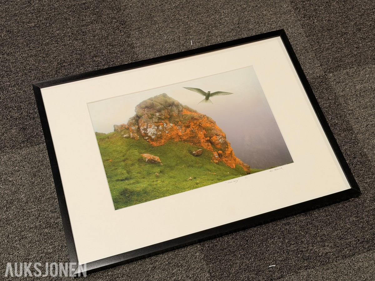 Atle Helland – Gult berg