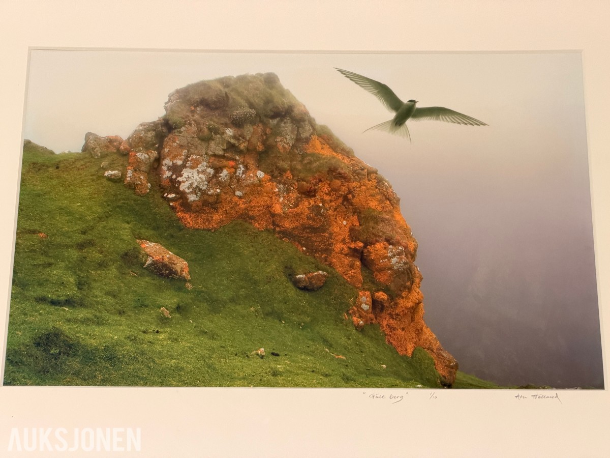 Atle Helland – Gult berg