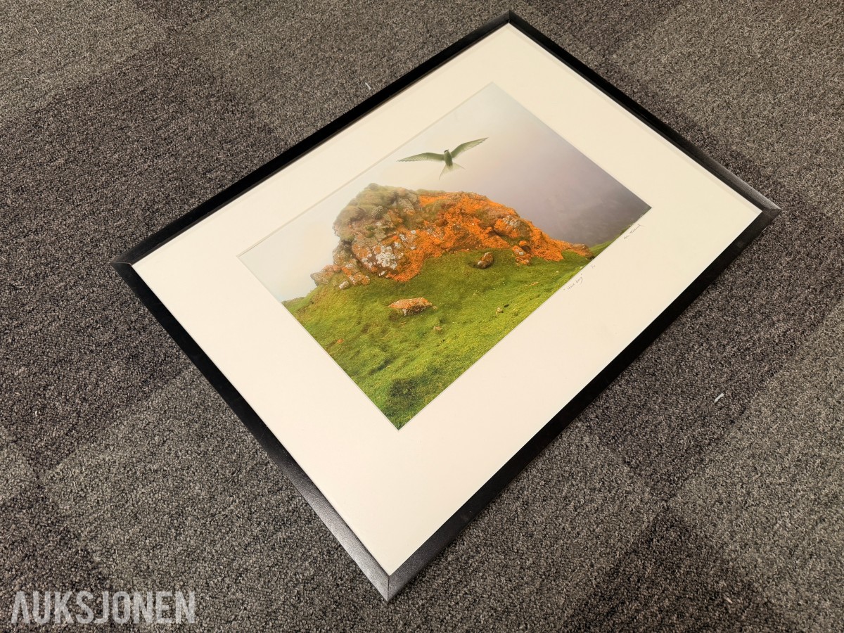 Atle Helland – Gult berg