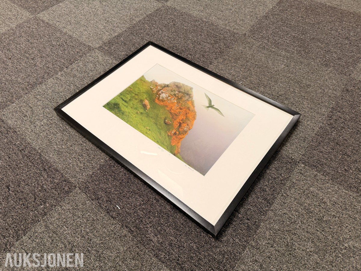 Atle Helland – Gult berg