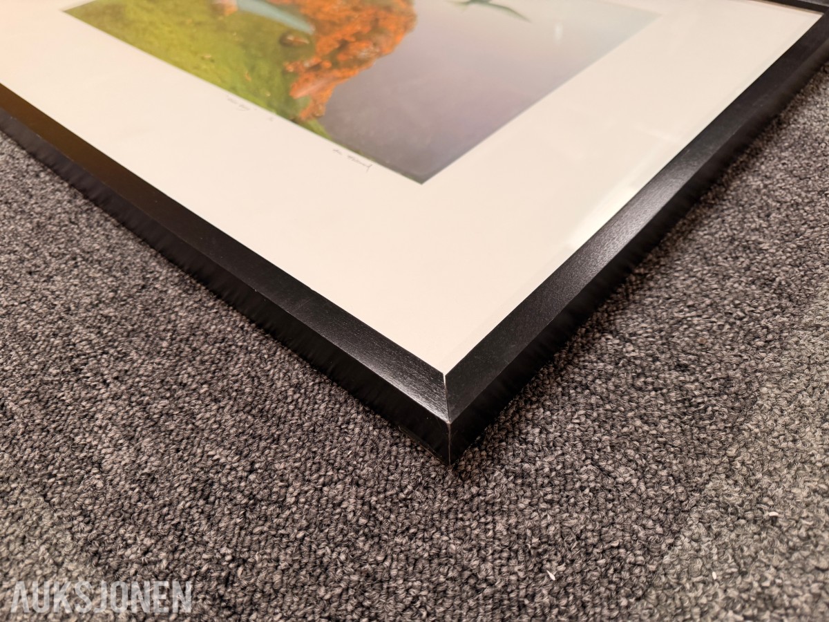 Atle Helland – Gult berg