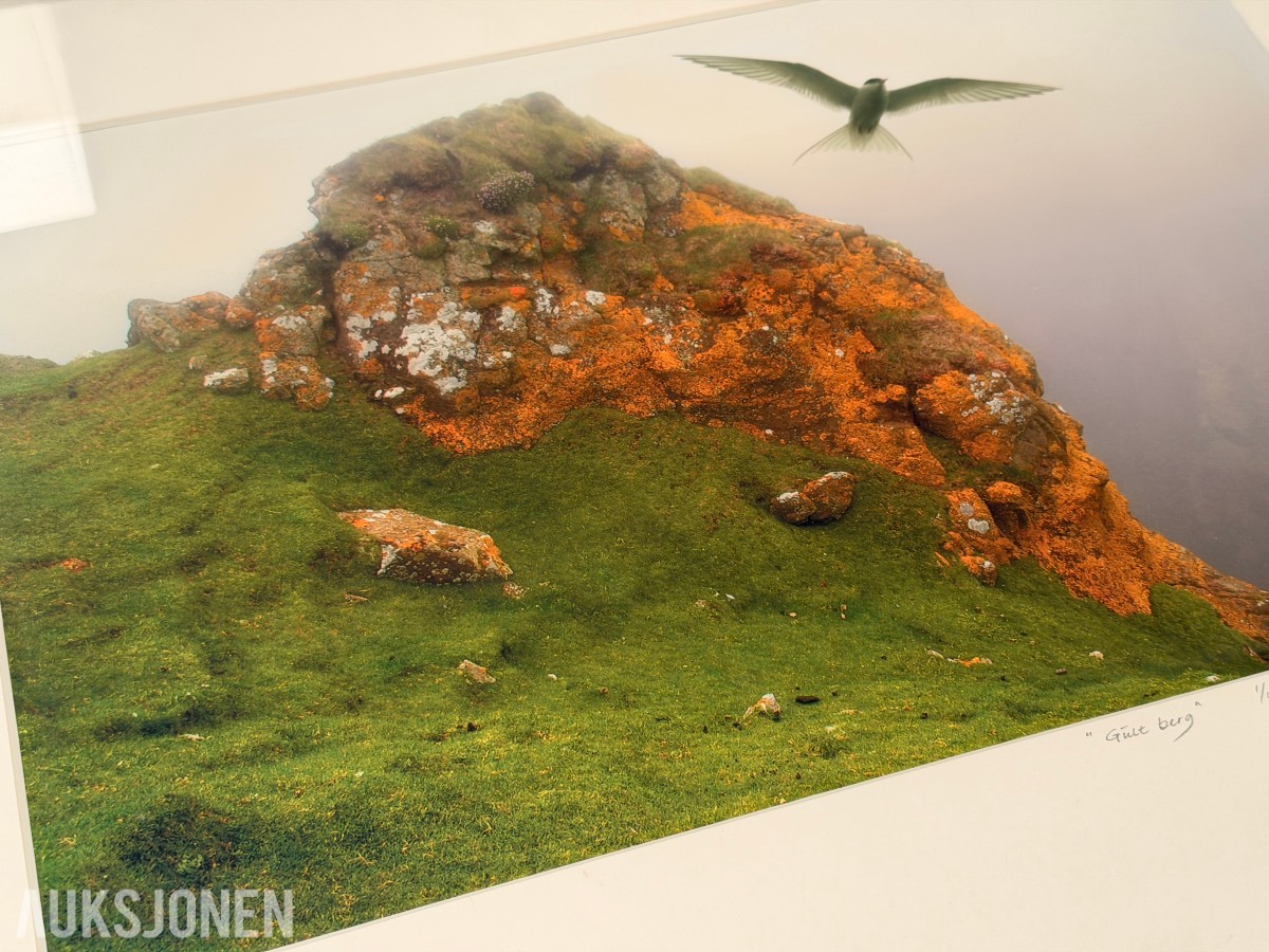 Atle Helland – Gult berg