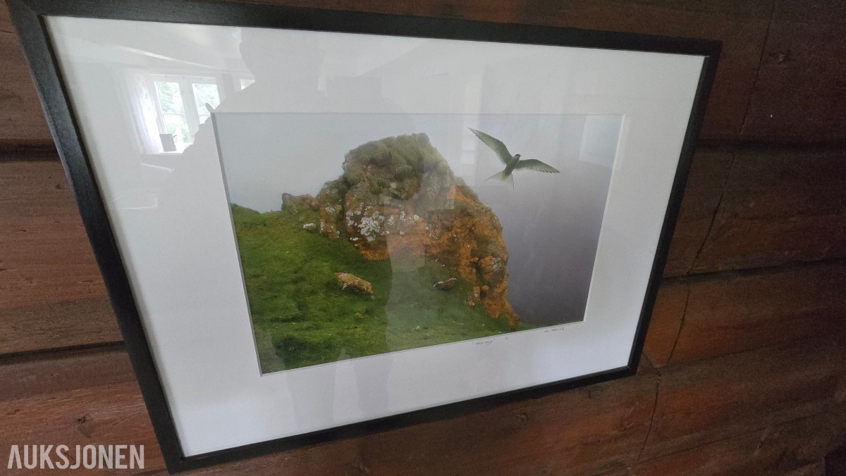 Atle Helland – Gult berg