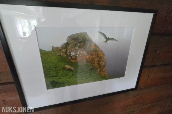 Atle Helland – Gult berg