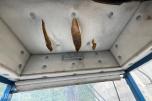 1986 Rottne Rapid / snoken 6 WD-H hogstmaskin