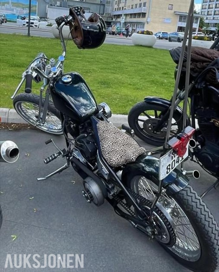 1972 Harley-Davidson FLH shovelhead stivramme