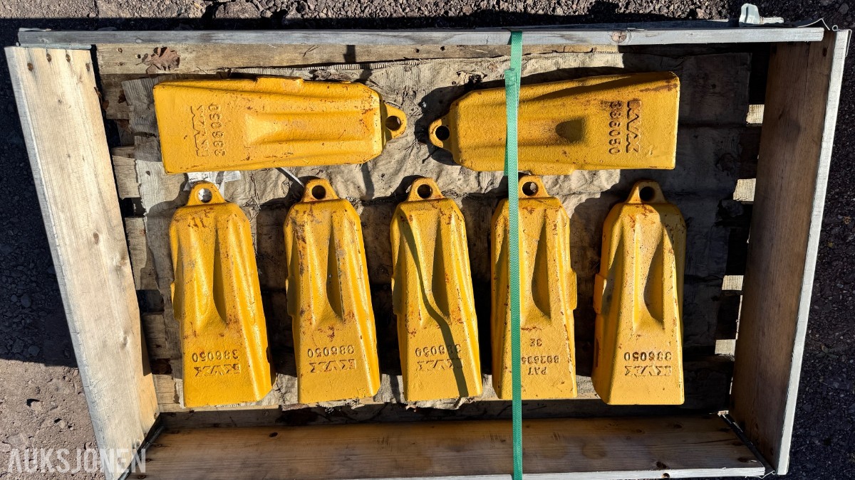 2025 KVX E2® Tannspiss M60 - 7 STK