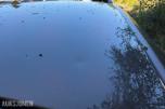 2012 Volkswagen POLO 1.6-90 D / EU-OK