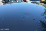 2012 Volkswagen POLO 1.6-90 D / EU-OK