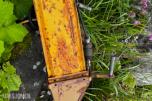 1992 Serigstad Fôrhøster FS 112