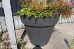 STOR PLANTEKASSE / BLOMSTERPOTTE I PLAST – CA 116 CM DIAMETER