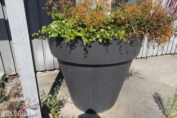 STOR PLANTEKASSE / BLOMSTERPOTTE I PLAST – CA 116 CM DIAMETER