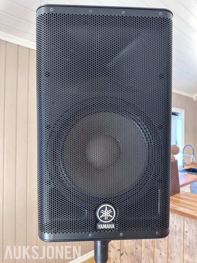 2010 PA-anlegg Yamaha DXR12, LEM spn12SA ++