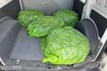 2015 Volkswagen Caddy 2.0-110 D 4MOTION HENGERFESTE
