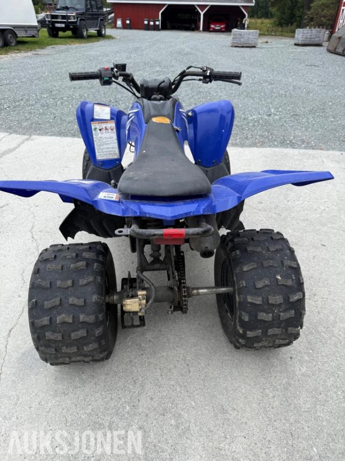 2009 Yamaha Ffm 90