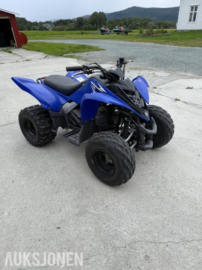 2009 Yamaha Ffm 90
