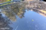 2004 Volvo V70 2.0 179hk automat skinnseter rep objekt