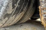 2022 Kaessbohrer Lowbed semi med uttrekk