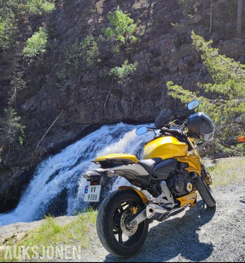 2007 Honda CB 600 F Hornet (ABS)
