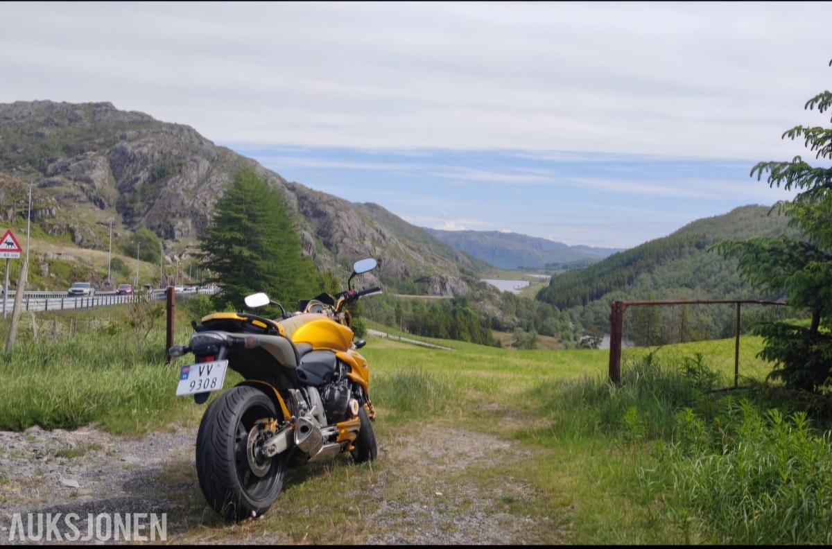 2007 Honda CB 600 F Hornet (ABS)