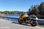 2007 Honda CB 600 F Hornet (ABS) 