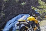2007 Honda CB 600 F Hornet (ABS) 
