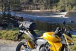 2007 Honda CB 600 F Hornet (ABS) 