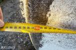 2x Glassfibertrukket ståltank Ca. 7,5 x 1,9 m