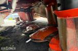 2022 Kuhn GMD 3525 F-FF Slåmaskin. Nye kniver 