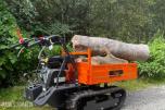 Dyrskun 2026 Minidumper Thomas 300kg