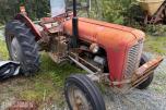 Massey Ferguson 35 Bensin - mva fri traktor